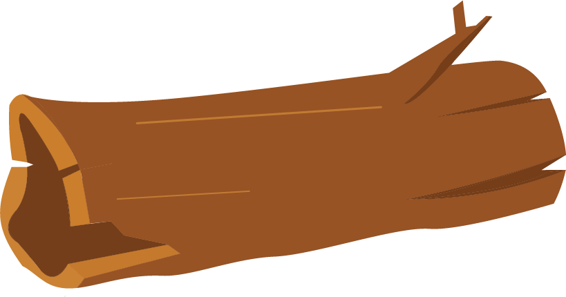 Kayu